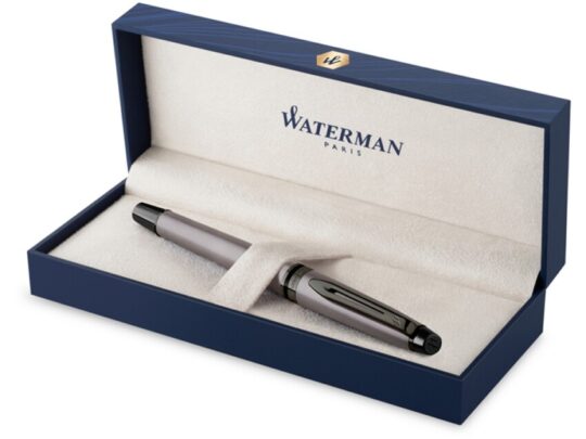 Перьевая ручка Waterman Expert Silver F BLK в подарочной упаковке, арт. 029026003