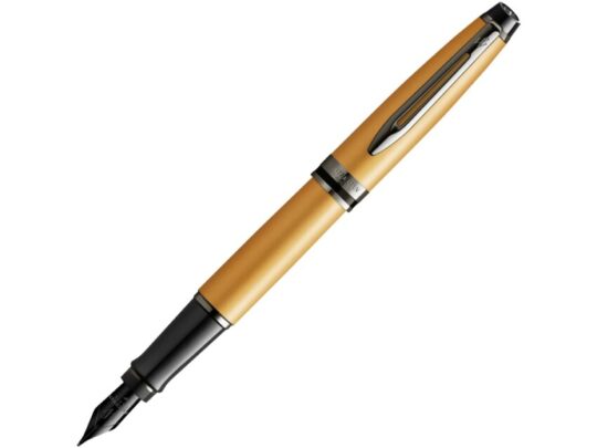 Перьевая ручка Waterman Expert GoldF BLK в подарочной упаковке, арт. 029025803