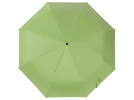 Зонт-автомат Dual с двухцветным куполом, зеленое яблоко/черный, арт. 029287103