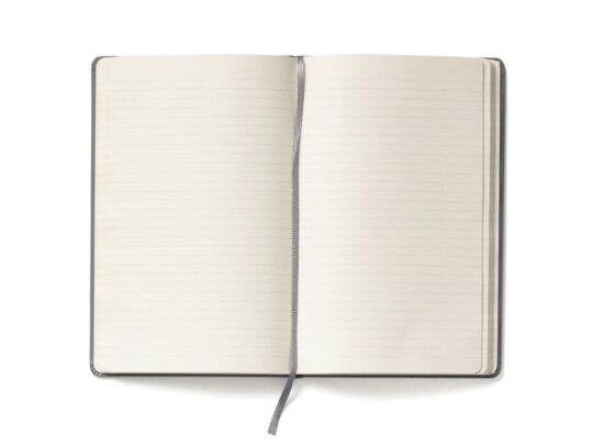 Записная книжка Moleskine Classic (в линейку) в твердой обложке, Large (13х21см), серый (A5), арт. 029302603