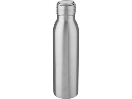Бутылка для воды Harper из нержавеющей стали, с металлической петлей, 700 мл — Серебристый, арт. 029570103