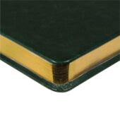 Ежедневник недатированный А5 Megapolis Nebraska, зеленый с золотым обрезом, арт. 029745103