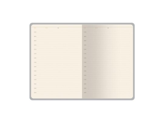 Ежедневник недатированный А5 Bosforo, серый, арт. 029643103