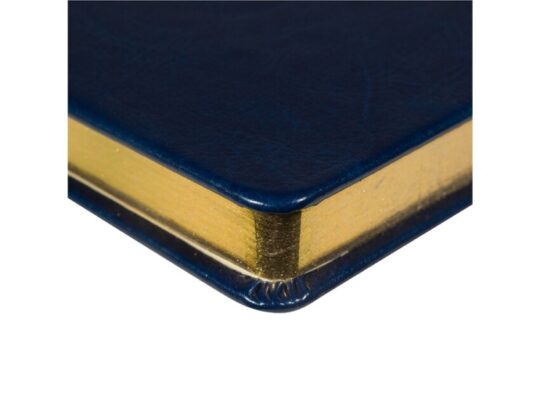 Ежедневник недатированный А5 Megapolis Nebraska, синий с золотым обрезом, арт. 029745003