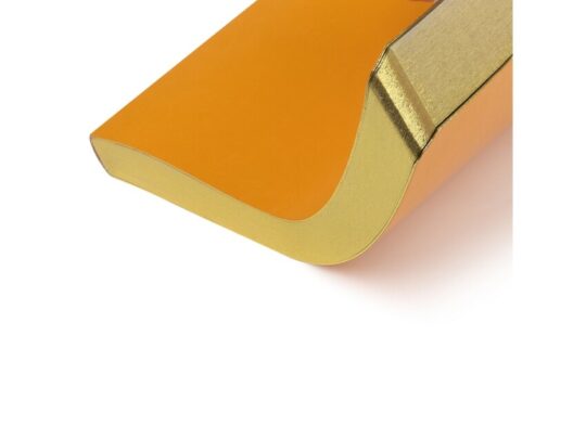 Ежедневник недатированный А5 Megapolis Nebraska Flex, оранжевый с золотым обрезом, арт. 029746103