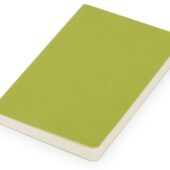 Блокнот Softy 2.0, гибкая обложка A6, 80 листов, зеленое яблоко (А6), арт. 029735403